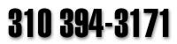 310 394-3171